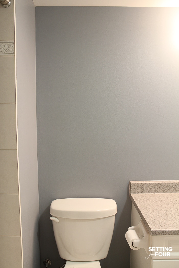 The blue-gray paint color makes this bathroom look dark, cold and sterile.