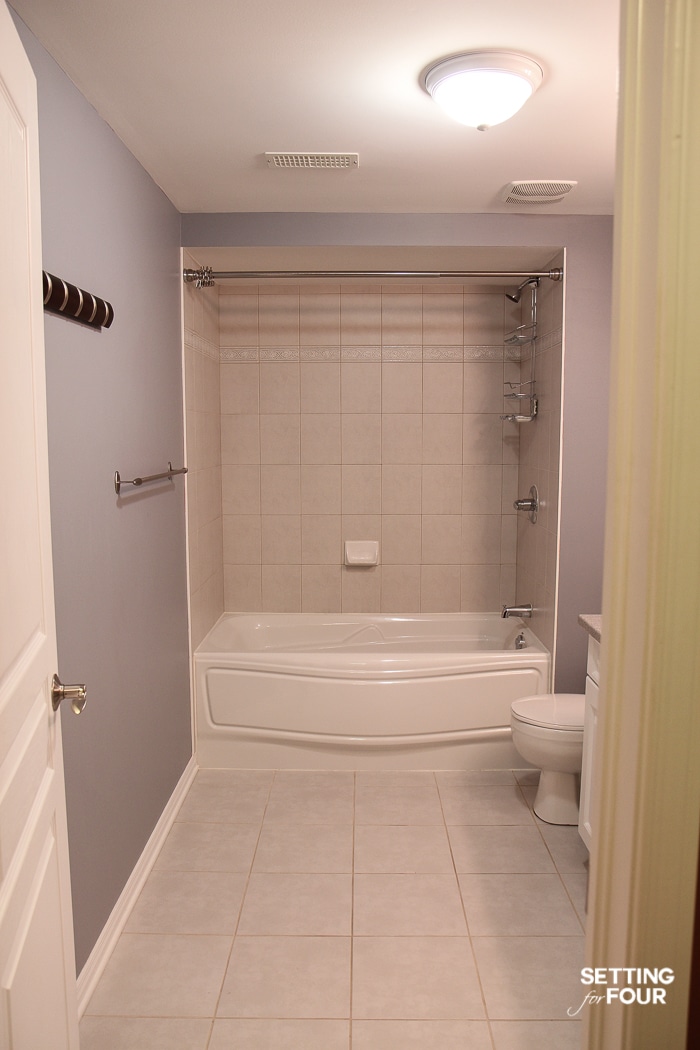 Dark bathroom with tub, toilet and vanity