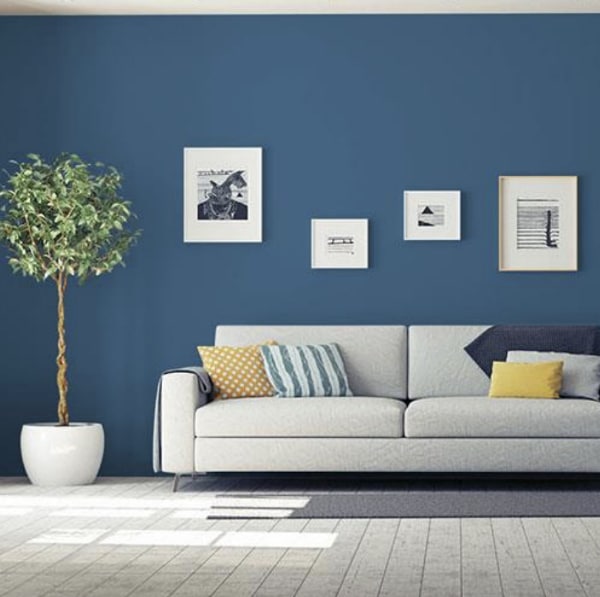 Living room with blue painted walls.