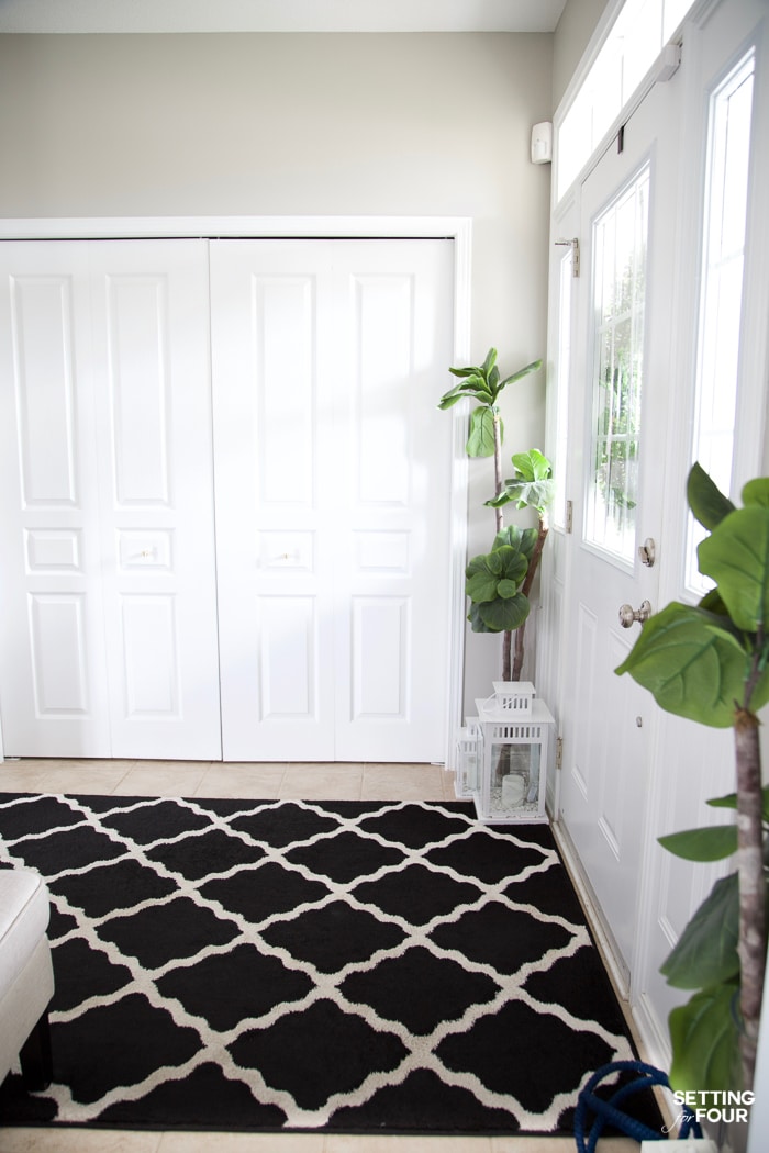 Entryway painted with gray paint. Black and white area rug and fiddle leaf fig trees. White lanterns.