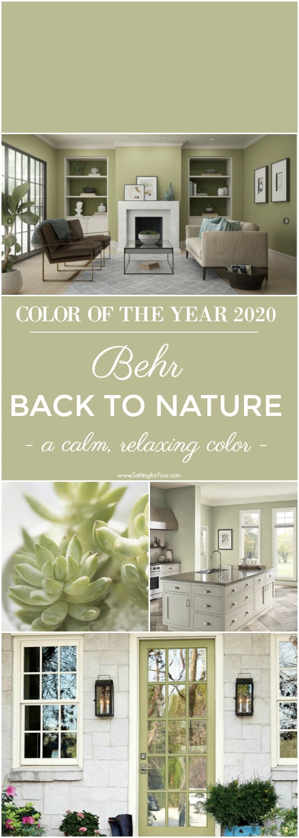 Behr Back To Nature Paint Color, COLOR OF THE YEAR 2020!