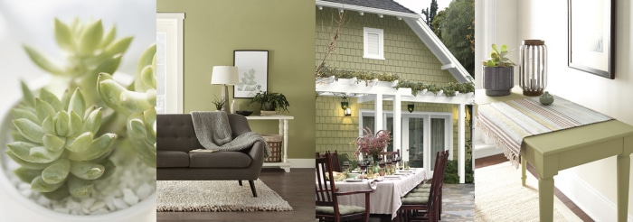 Behr Back To Nature Paint Color - Color Of The Year 2020. Paint color inspiration.