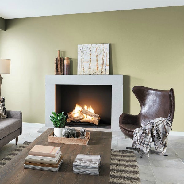 Back to Nature by Behr paint color in a living room - Color of the Year 2020