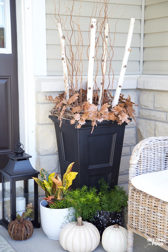 Tall planters by front door decorated for fall with birch branches and curly willow.