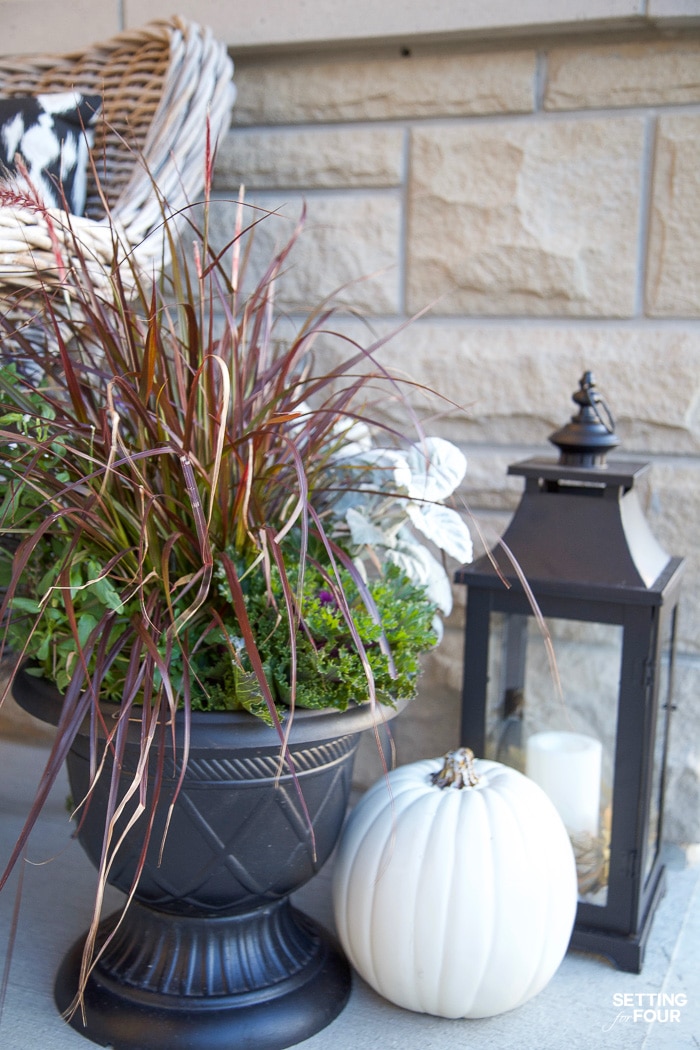 Fall planter filled with purple fountain grass, ornamental cabbage and lambs ears.