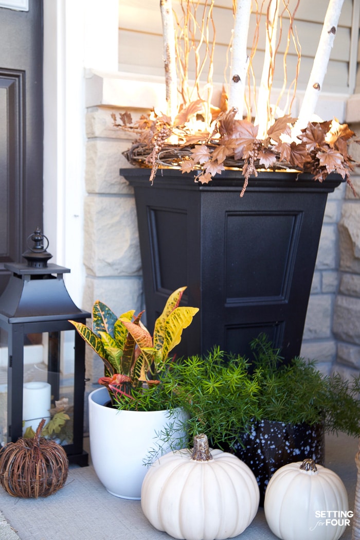 Fall planter filled with curly willow, birch branches with outdoor lighting using a spot light.