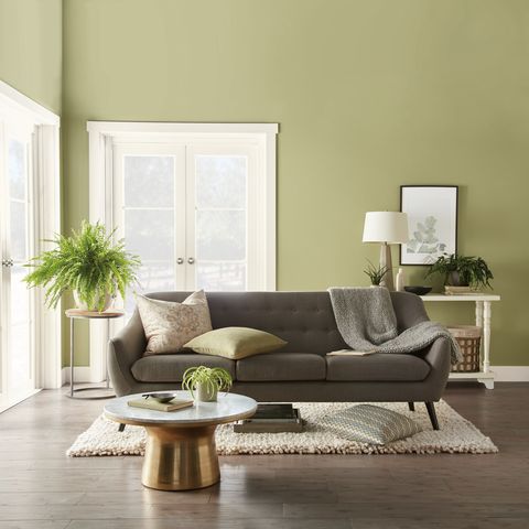 Behr Back to Nature paint color in a living room.