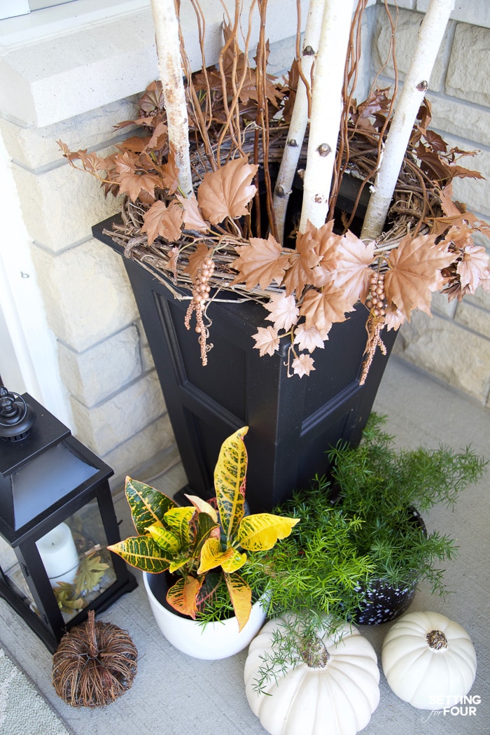 Fall planter with birch branches, pumpkins and fall plants decorating a porch.