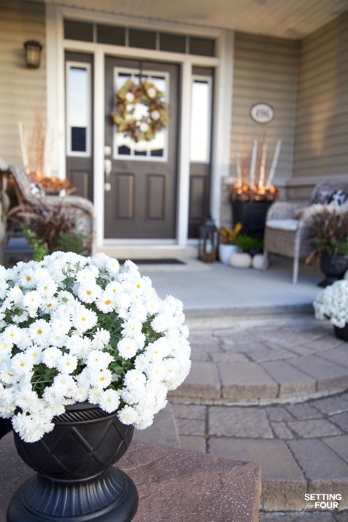 White mums decorate a porch for fall.