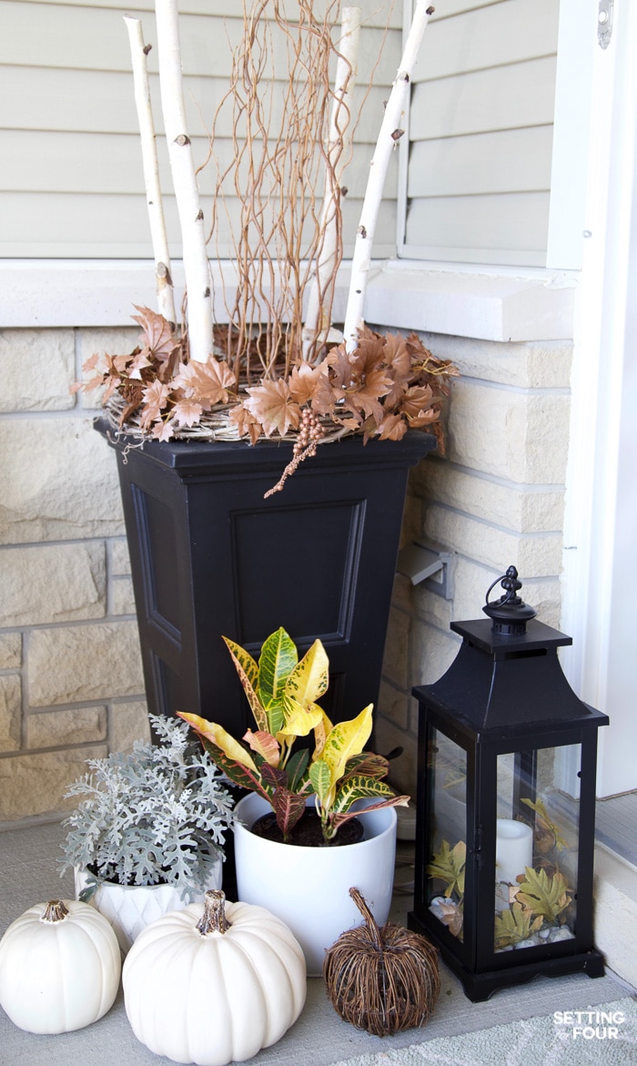 Fall porch decorated with dusty miller, croton plants. lanterns and pumpkins.