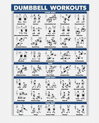 Laminated Dumbbell Workout Exercise Poster - for beginners and experienced levels!