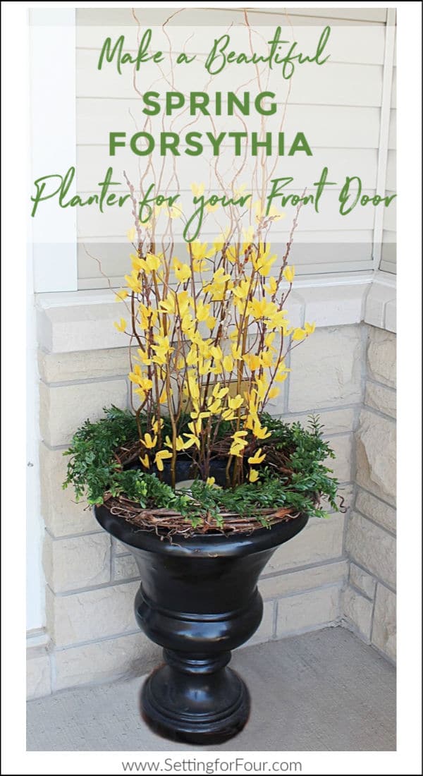DIY Spring Planter Idea with Forsythia, pussy willows, boxwood and curly willow. DIY tutorial and supply list included. Porch decor idea. Curb appeal decorating inspiration. porch entryway and exterior home decor ideas. Beautiful DIY Spring Forsythia Planter Idea For Your Front Door and Porch Decor Inspiration