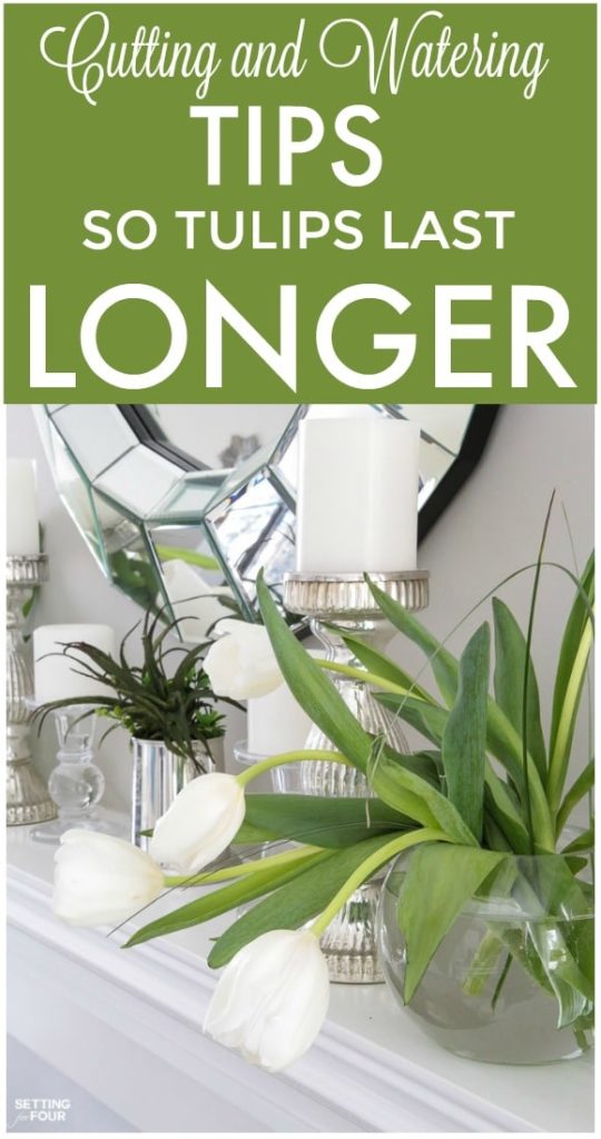 Cutting and Watering Tips So Tulips Last Longer - Setting For Four