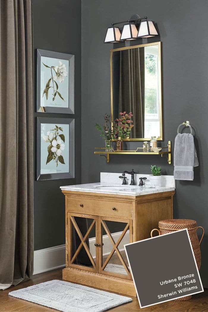 Sherwin Williams Urbane Bronze SW 7048 in a bathroom.