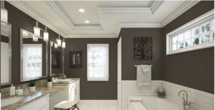 Sherwin Williams Urbane Bronze SW 7048 paint color on bathroom walls.