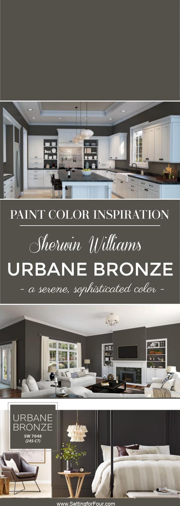 Color Of The Year 2021 Sherwin Williams Urbane Bronze SW 7048