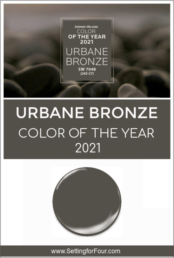 Color Of The Year 2021 Sherwin Williams Urbane Bronze SW 7048 Setting