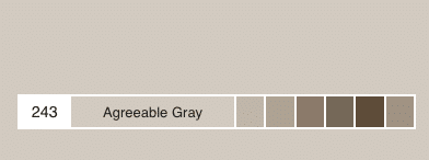 Agreeable Gray Color Strip