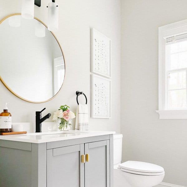 SW Agreeable Gray bathroom paint color. 