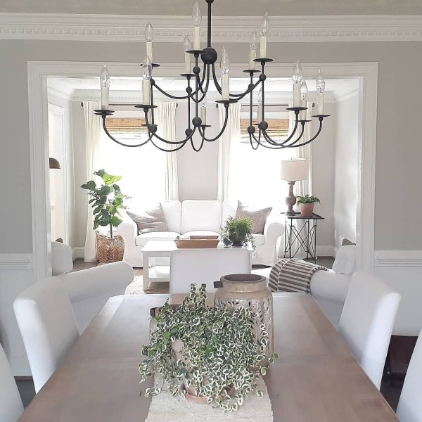SW Agreeable Gray open concept living room and dining room paint color
