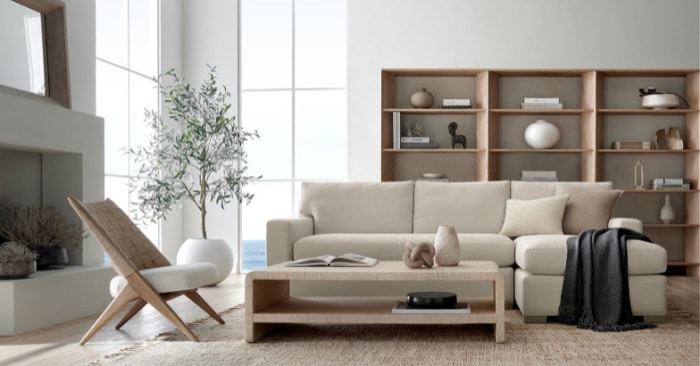 Modern Organic Living Room Design Ideas