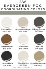 SW Evergreen Fog paint color inspiration and coordinating colors..