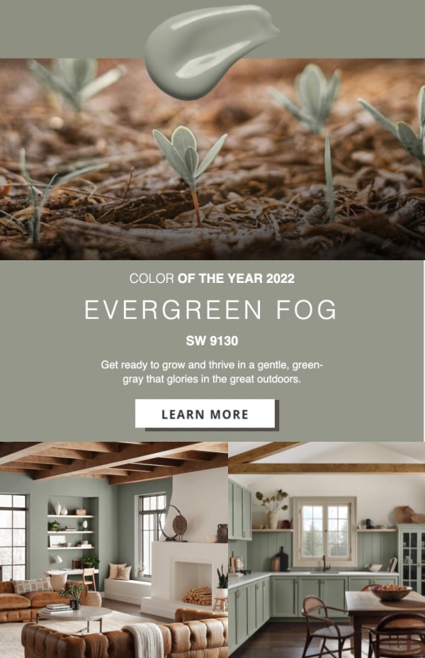 Evergreen Fog SW 1930 Color Of The Year 2022. Paint color ideas for the home. Interior Design inspiration.