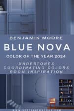 Blue Nova Color Of the Year 2024