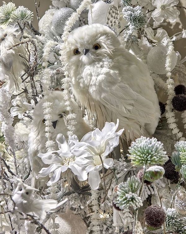 Elegant Woodland Forest Christmas Tree Decor Ideas. Decor Ideas With Owls. White Christmas Tree decor, Owl ornaments, 2025 Christmas trends, Woodland Christmas tree ornaments, holiday decor, Christmas tree theme, Christmas tree colors, neutral, natural