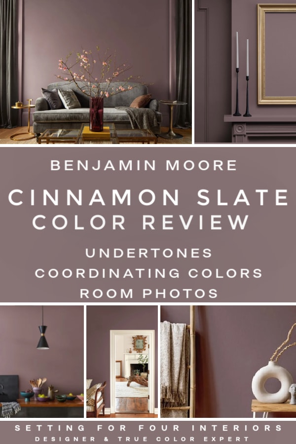 Benjamin Moore Cinnamon Slate Color Review & Color Of The Year 2025 Setting For Four Interiors
