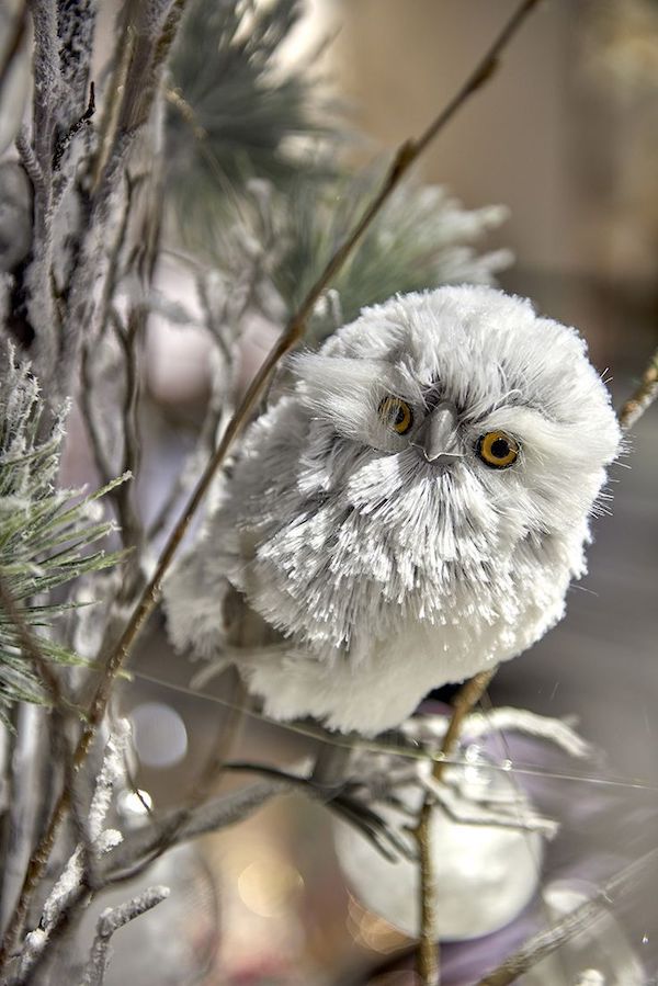 Elegant Woodland Christmas Tree Decor Ideas With Owls. Snowy White Owl Ornament, 2024 trends, Woodland Christmas tree ornaments, holiday decor, Christmas tree theme, Christmas tree colors, classic decor, natural decor ideas.