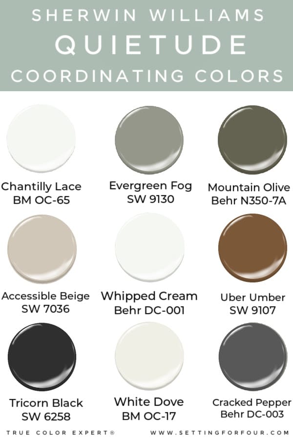 Sherwin Williams Quietude Coordinating Colors. whole home color palette, color scheme, neutral colors, best colors to go with, cozy, earthy, elegant, modern, farmhouse style