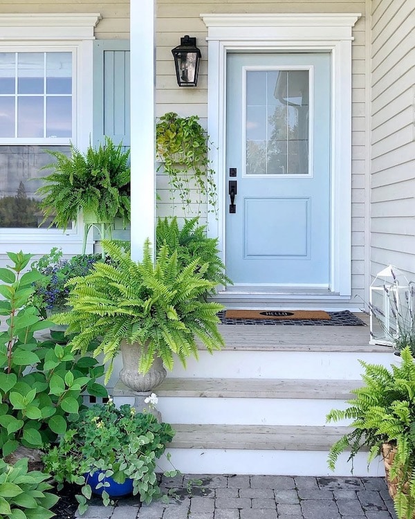 Sherwin-Williams Repose Gray exterior with white trim, blue-gray front door, black lantern light, and green landscaping