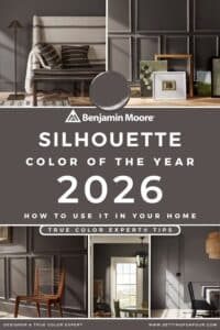 Benjamin Moore Color Of The Year 2026 Silhouette - Expert Design Tips & Color Secrets, paint color inspiration, online interior design services, paint color consult, dark, moody, earthy, 2026 trend, living room, bedroom color ideas