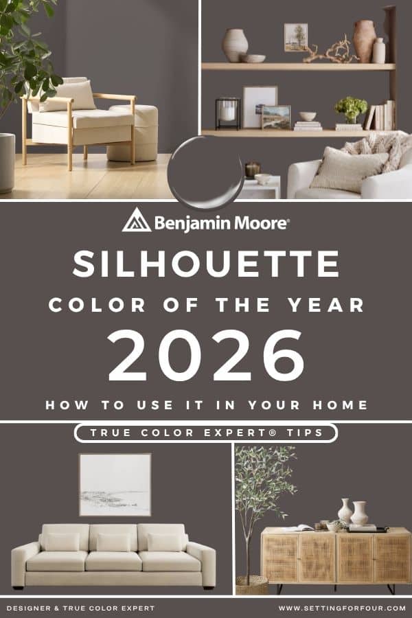 Benjamin Moore Color Of The Year 2026 Silhouette- True Color Expert Tips, Expert Design Tips & Color Secrets, how to use it in your home, moody, earthy, dark, paint color, neutral color palette, earth tones, wall color, living room, bedroom color inspiration, 2026 trend, modern, minimalist, transitional, traditional, farmhouse, new home ideas, online interior design consult, paint color consult