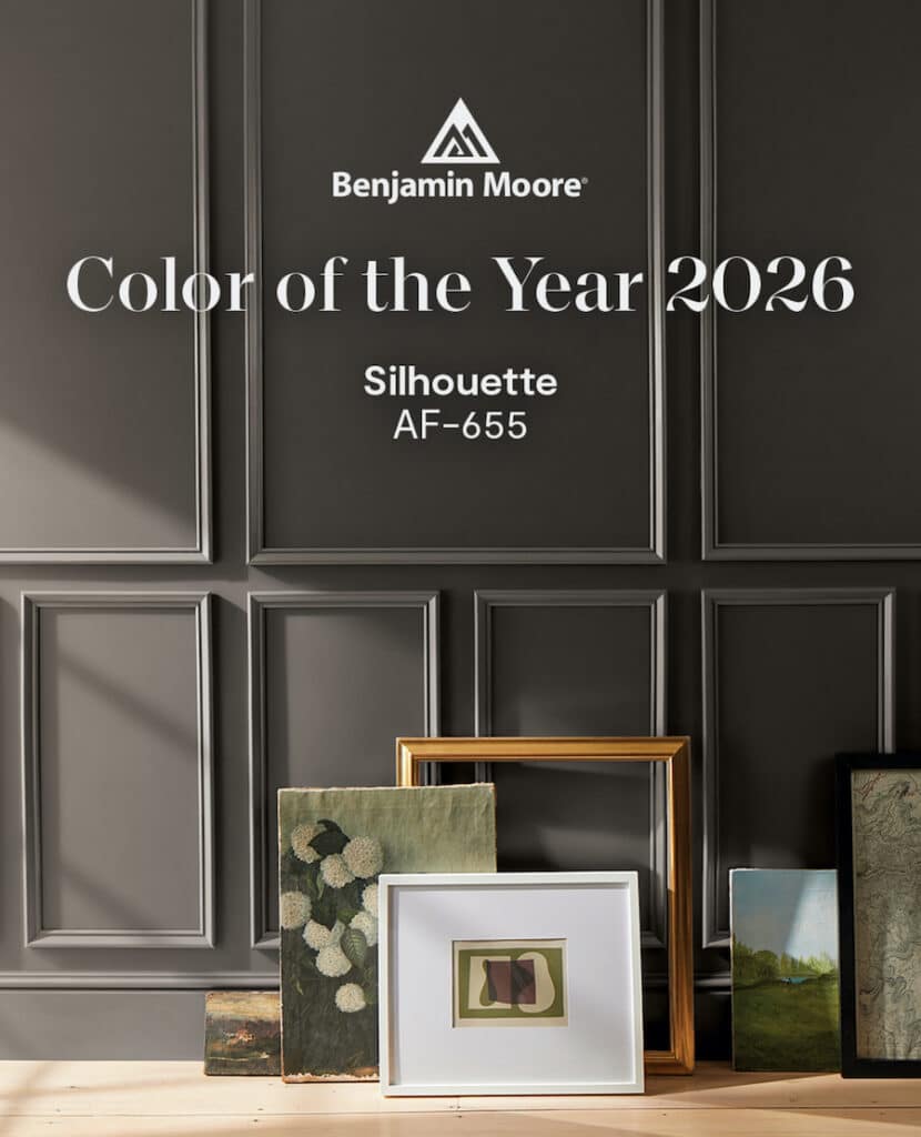 Benjamin Moore Color Of The Year 2026 Silhouette Paint Color Inspiration from a True Color Expert, warm, earthy, brown, gray, dark wall color, moody, timeless, neutral color palette, earth tone color scheme, modern, minimalist, transitional, farmhouse, 2025, 2026 trend