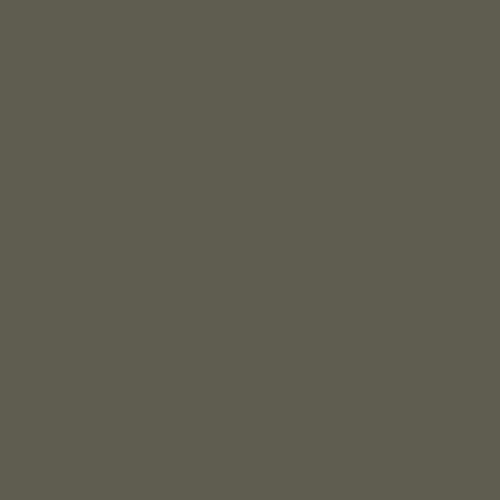 Behr Grounded - Color Of The Year 2027. Paint inspiration for the interior and exterior of the home. A warm, earthy, moody olive green color that's perfect for a neutral color palette. See how to use it in your home!